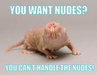 Canada are o nouă campanie de sexing cu siguranță, deranjantă, care implică șobolani aluni