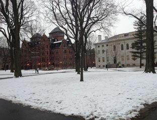 Гарвардский двор