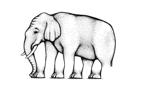 Illusion d'éléphant