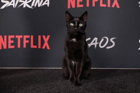 Netflix oriģinālās sērijas “Sabrinas atdzesējošie piedzīvojumi” sarkanais paklājs un pirmizrāde