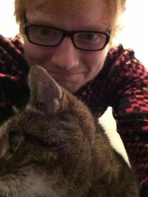 Ogłoszenie Eda Sheerana o kociaku