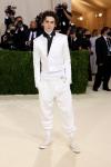 Oglejte si formalne športne hlače Timothée Chalamet na Met Gala