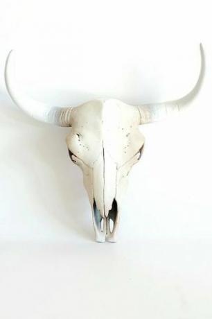 Cráneo de vaca de resina