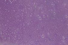 Bomba de banho de gelatina de ectoplasma exuberante