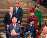 Książę Harry i książę William „Oślepieni” autorstwa Camilla Queen Consort Title