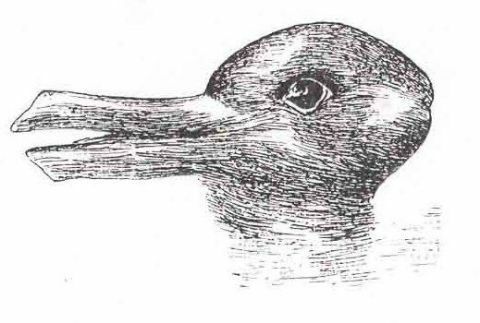 Illusie van konijn of eend