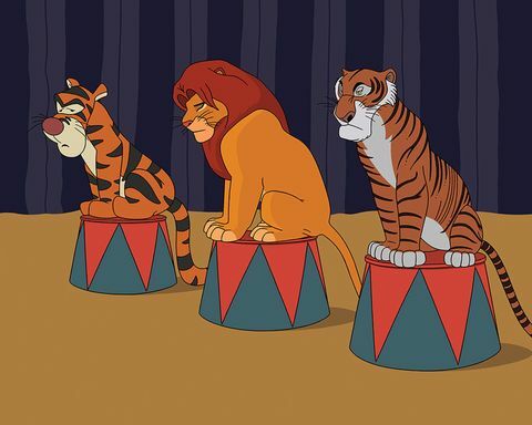 Tomas Wardas, „Disney Circus“