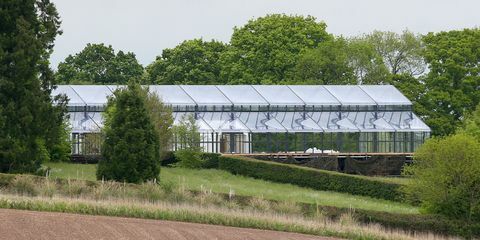 Kas, Huis, Landelijk gebied, Boerderij, Plantkunde, Boom, Dak, Gebouw, Plant, 