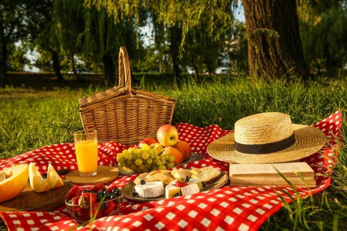 piknikteppe med deilig mat og juice i parken