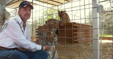 Fakten zum Tigerkönig