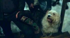 ვინ არის ცხელი ძაღლი 'რივერდეილზე' მე -3 სეზონის პრემიერაზე?