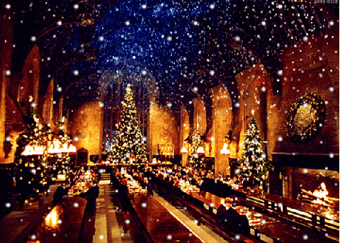 Догађај, божићна декорација, празник, Бадње вече, Божић, божићна светла, поноћ, божићно дрвце, струја, улица, 