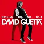 David Guetta Februari 2012 Tourdata