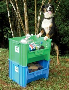 um cachorro pulando próximo a latas de lixo