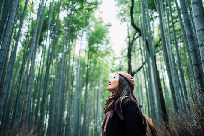 jauna azijietė kuprinė, besimėgaujanti gamtoje giliai įkvėpdama gryno oro ir atpalaiduojančiai pasivaikščiodama bambukų miške kaime koronaviruso pandemijos protrūkio metu