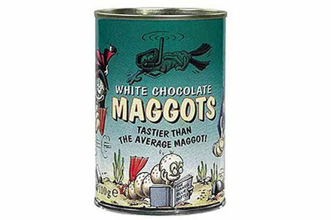Valkoisen suklaan maggots