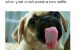 8 morsomme memes som perfekt oppsummerer hvordan det føles å ha en forelskelse