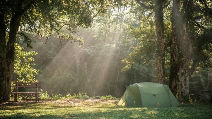 morgenlys stikker gjennom trærne når du camper i Sutjeska nasjonalpark, Bosnia-Hercegovina
