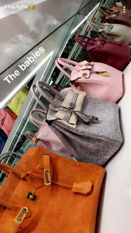 Moda, torebka, ręka, modny dodatek, torba, bagaż i torby, 