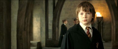 Młody James Potter, Harry Potter