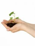 Tips Ramah Lingkungan untuk Membantu Lingkungan