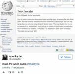 Otrolig tumblr -konspirationsteori hävdar att Demi Lovato har en hemlig tvilling som heter Poot Lovato