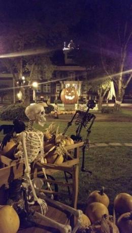 Skelton en Halloweentown