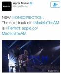 הסינגל הבא של וואן דיירקשן הוא 'מושלם'
