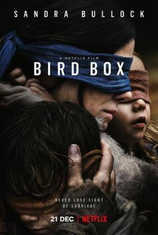 Bird Box Movie Plakat - Bedste Halloween -film på Netflix