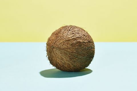 불완전한 코코넛