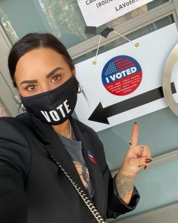 Demi lovato vote selfie