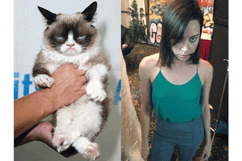 Chat grincheux et Aubrey Plaza