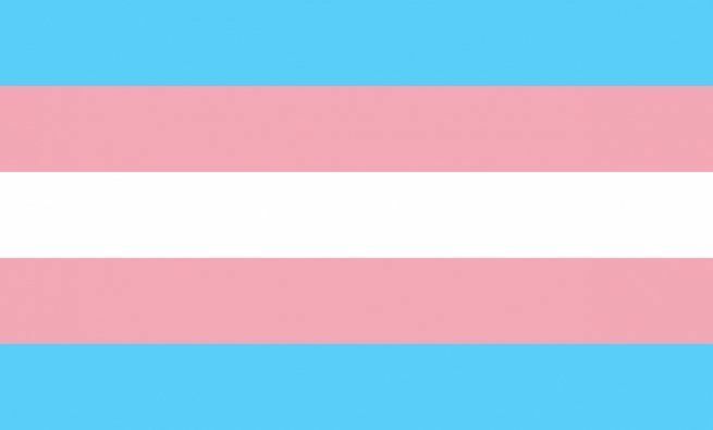 χρώματα σημαίας trans υπερηφάνειας