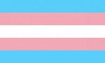 Трансгендерно знаме: Цветове и значение зад всеки един