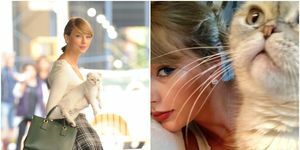 Taylor Swift so svojou mačkou