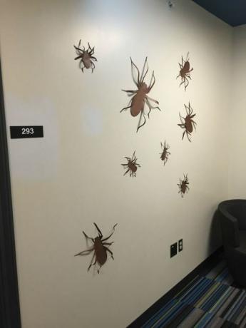 디자인, 무척추동물, 절지동물, 벽, 곤충, 해충, 천장, 거미, 거미류, 기생충, 