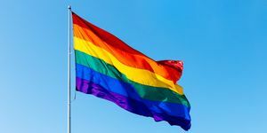 jak pomoci postavit se proti zákonu „neříkej gay“, který prochází floridským zákonodárným sborem