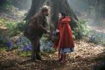 Anna Kendrick ca Cenușăreasa în pădure