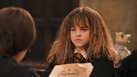 Hermione Granger Frizz