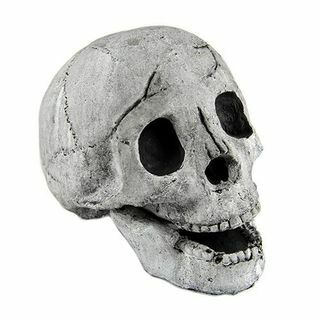 Jurnal de craniu de foc (alb cu împărțirea maxilarului)